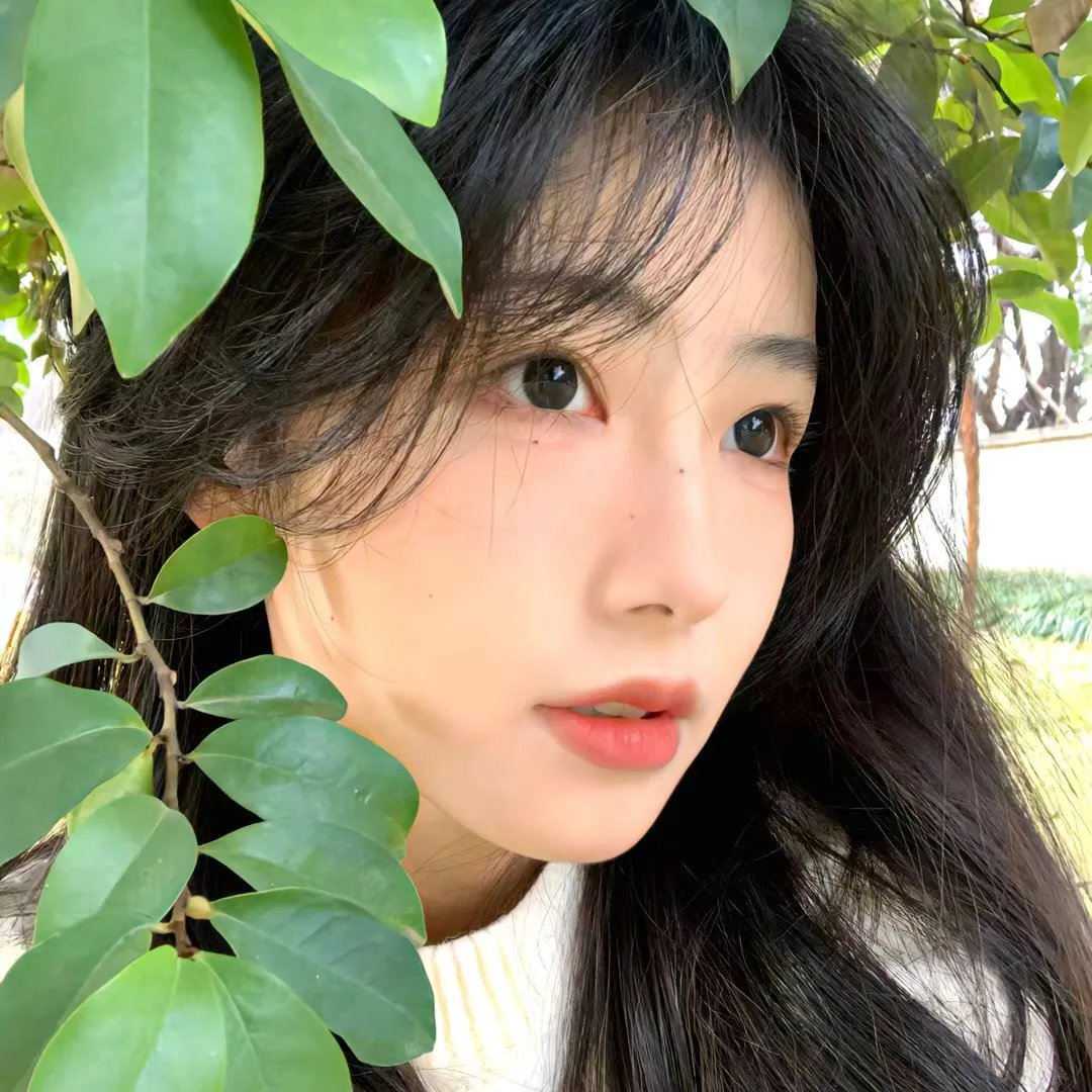 就像美丽蝴蝶飞